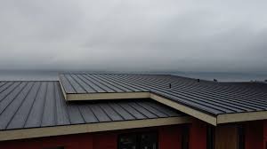 Fast & Reliable Emergency Roof Repairs in Toccoa, GA